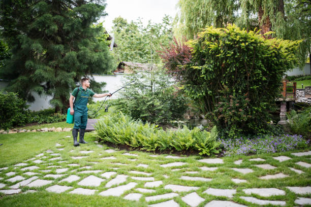 How Our Tree Care Process Works  in  Darien, IL